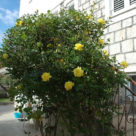 Agnic * Trogir