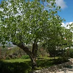 Agnic Τρογκίρ